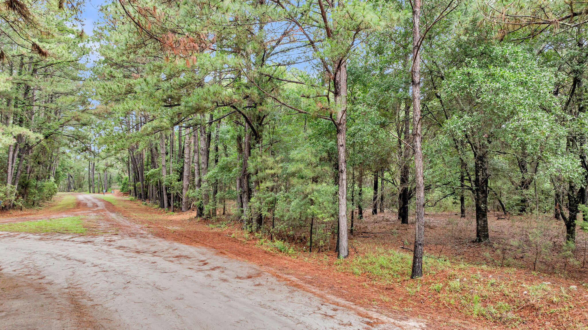 0 Josie Ridge Road Lot 23
