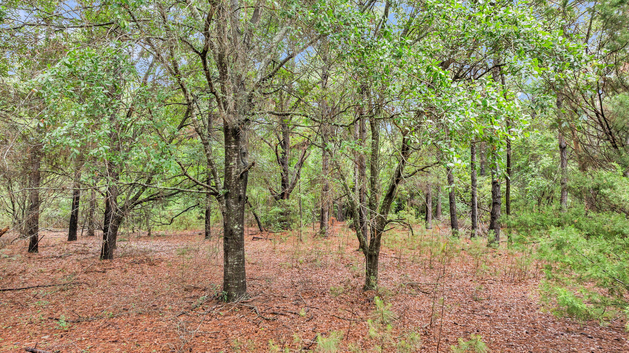 0 Josie Ridge Road Lot 23