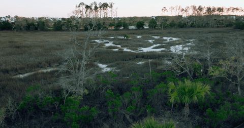 Photo of 1105 Ship Builder Street, Charleston, SC 29492 (MLS # 25017813)