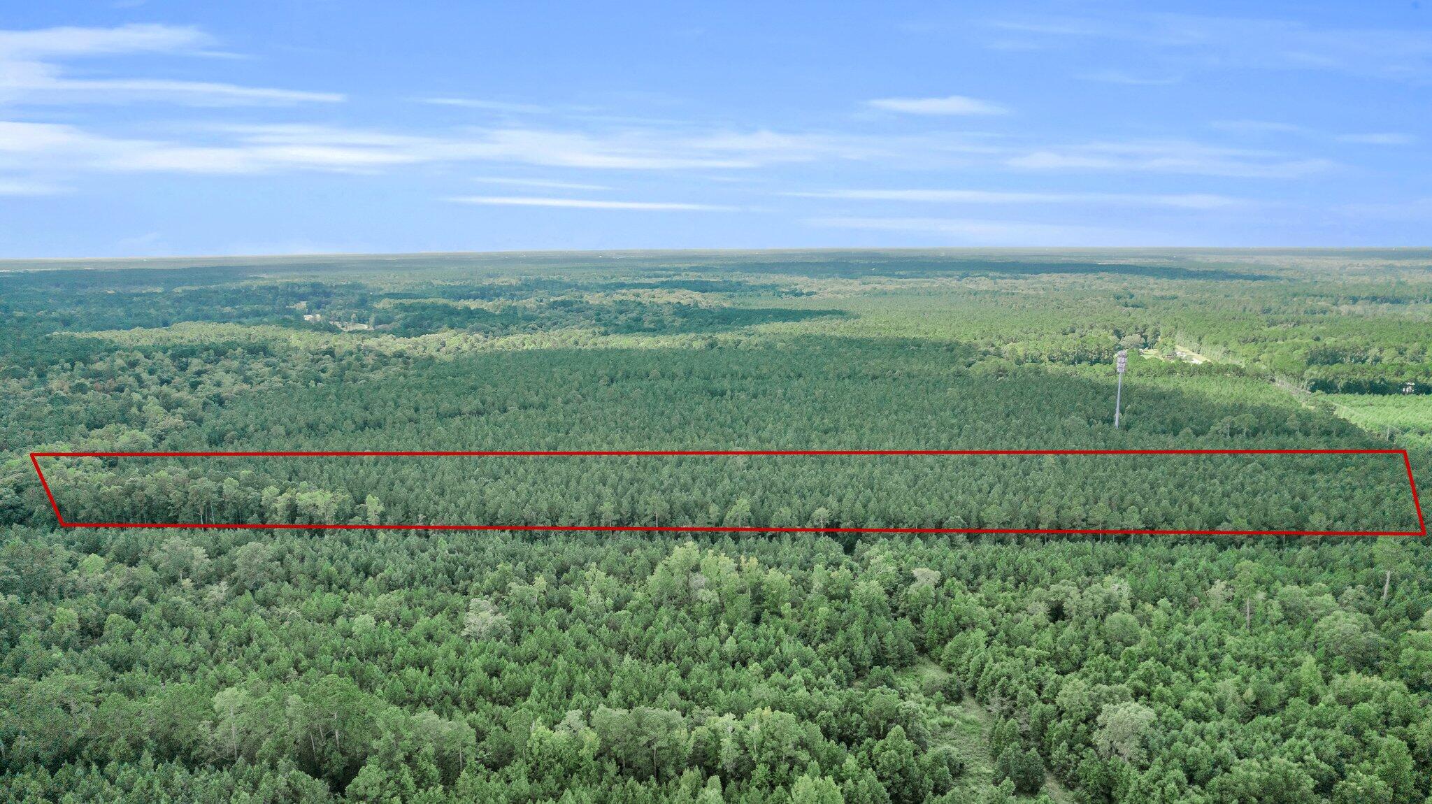 00 Jedburg Road