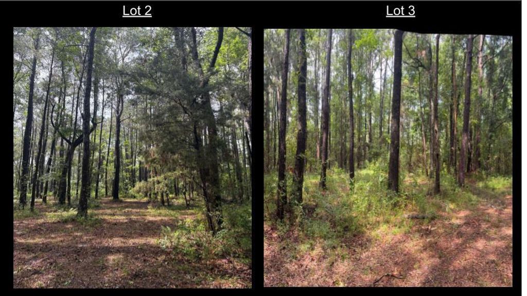 Photo of 1051 Butterfly Lane, Awendaw, SC 29429 (MLS # 25032326)