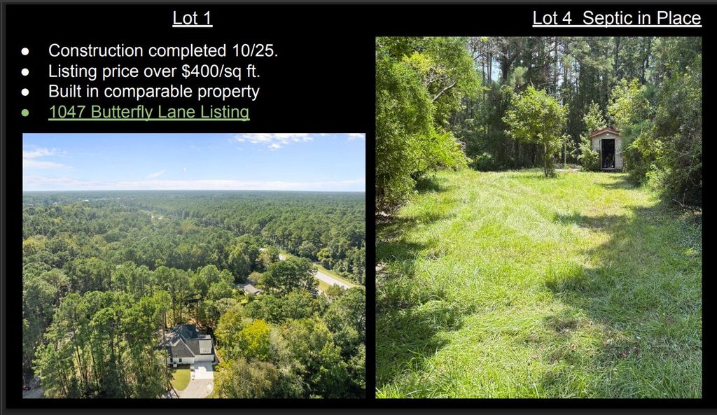 Photo of 1051 Butterfly Lane, Awendaw, SC 29429 (MLS # 25032326)