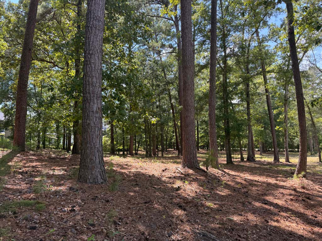 Photo of 0 Lincoln Avenue, Summerville, SC 29485 (MLS # 26021754)
