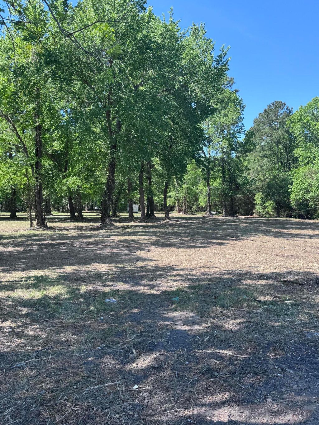 Photo of 465 E Main Street, Moncks Corner, SC 29461 (MLS # 26010330)