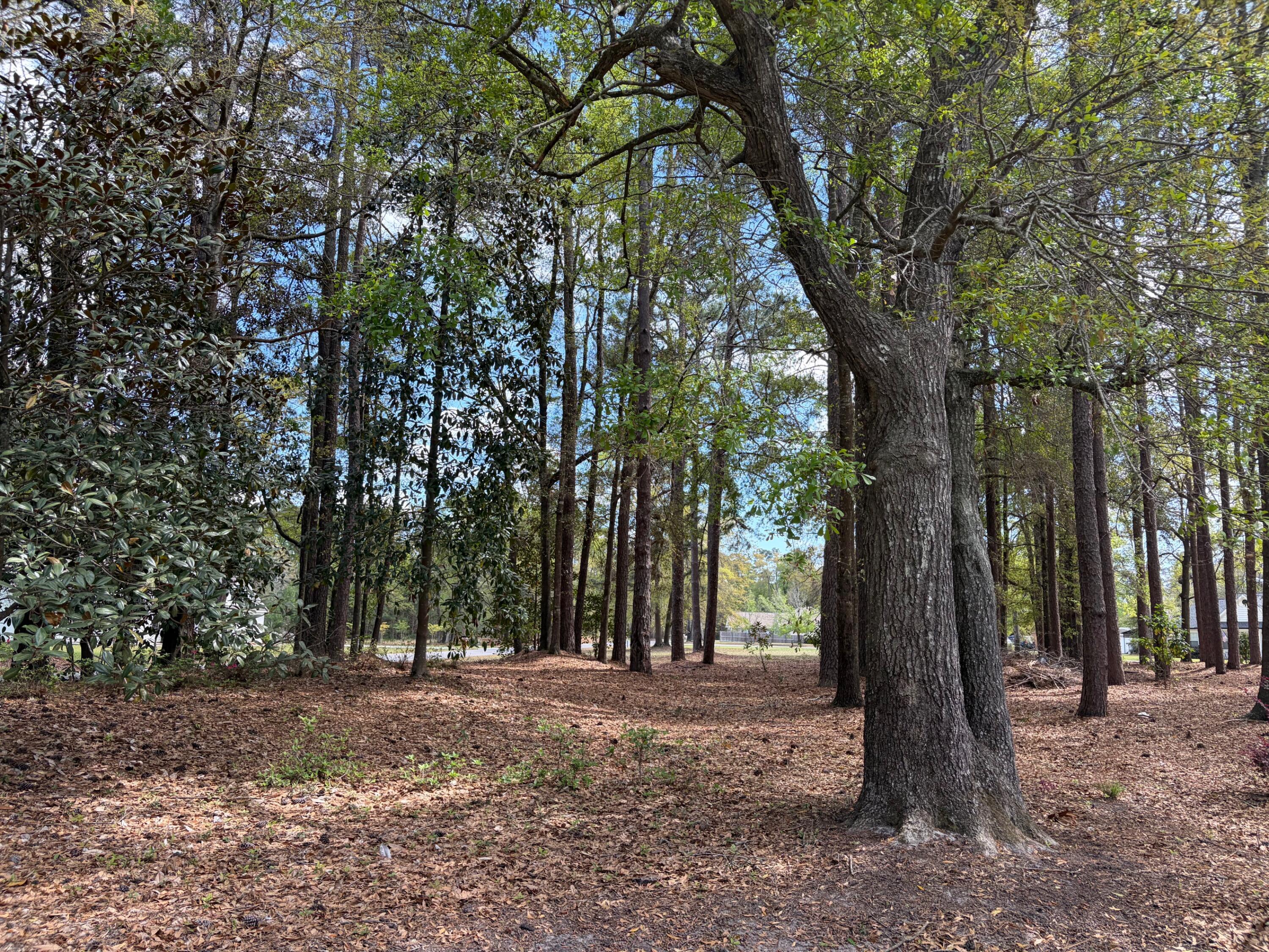 0 Otis Rd. & Longleaf Drive