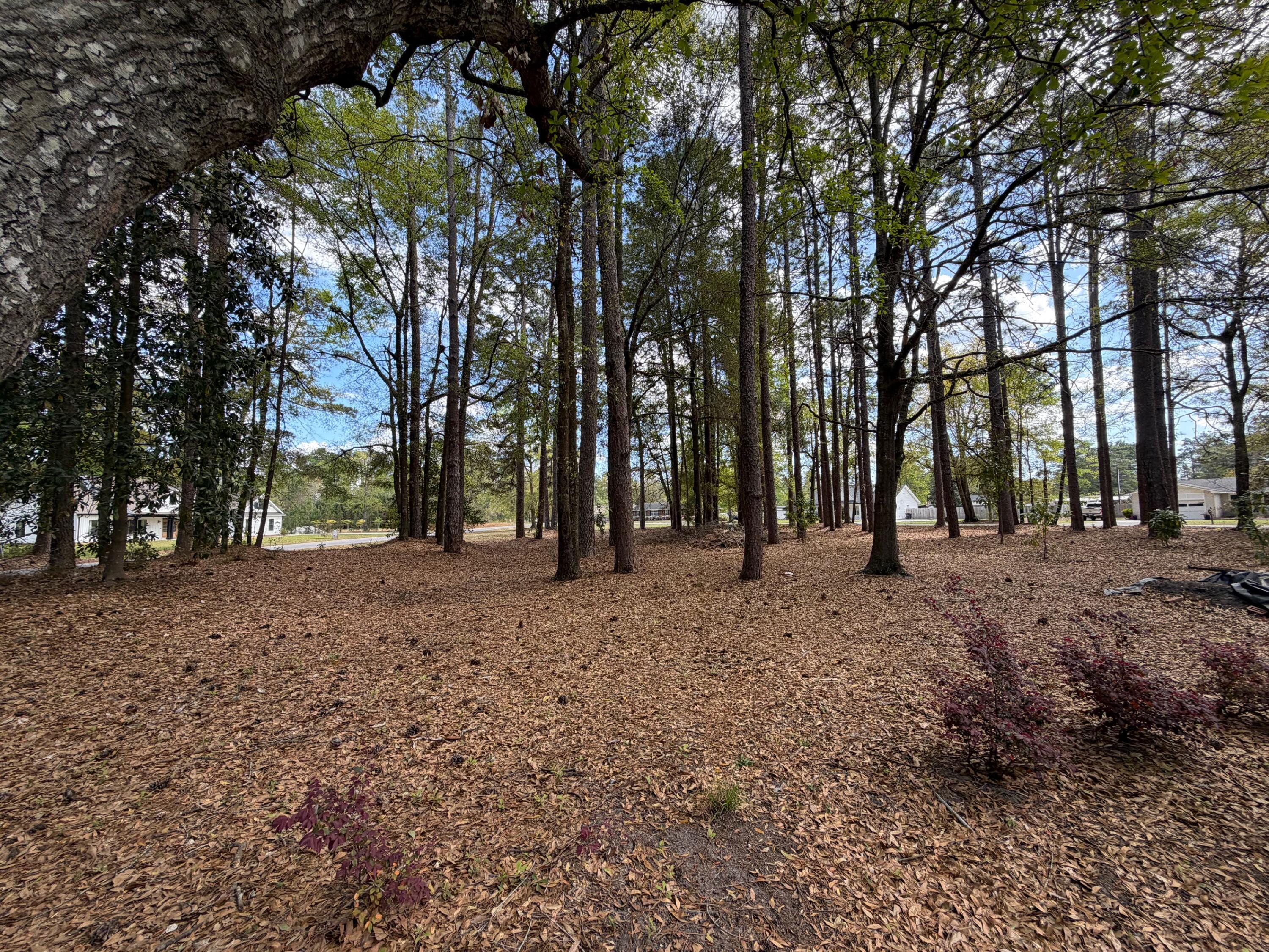 0 Otis Rd. & Longleaf Drive