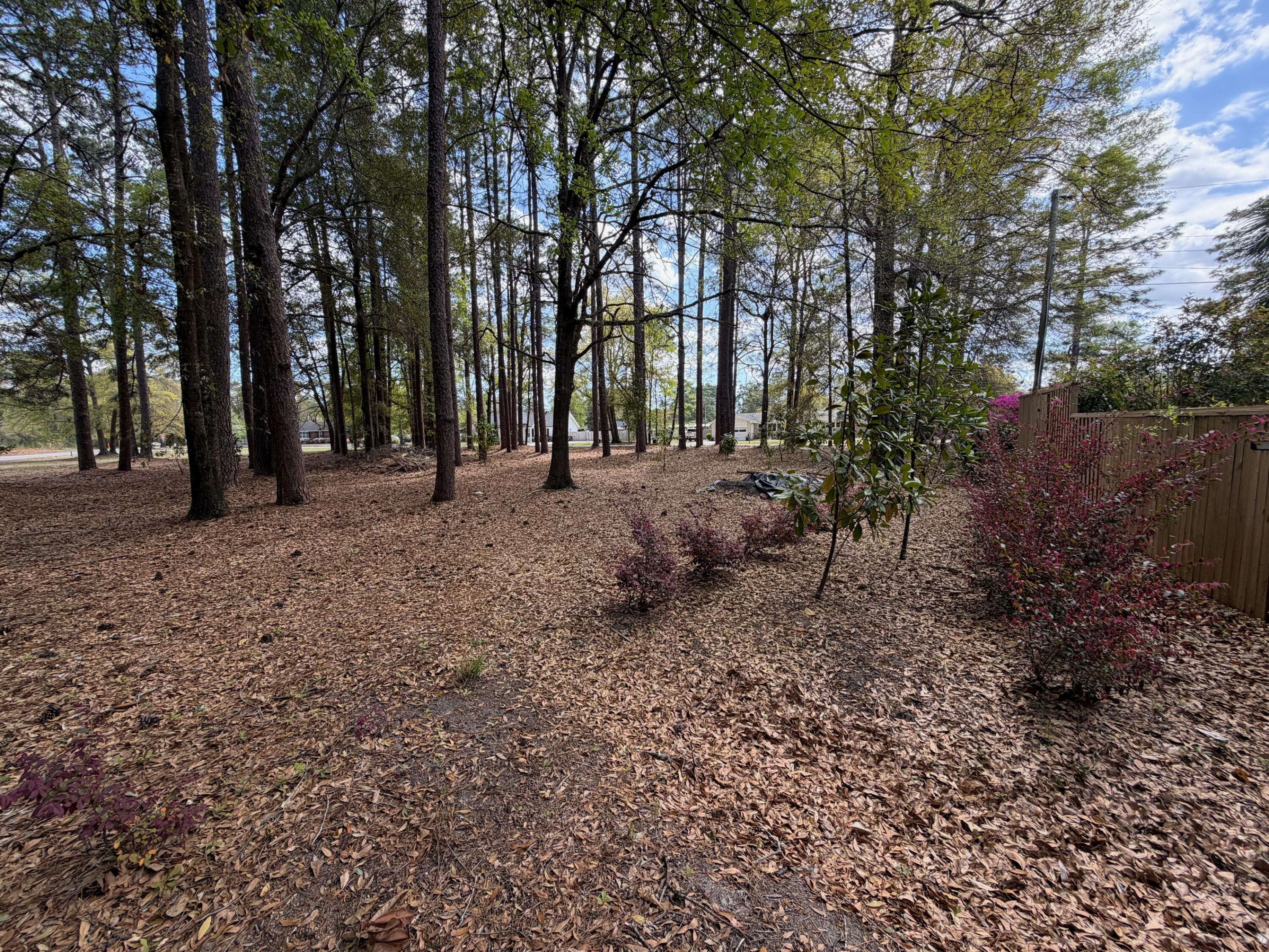 0 Otis Rd. & Longleaf Drive