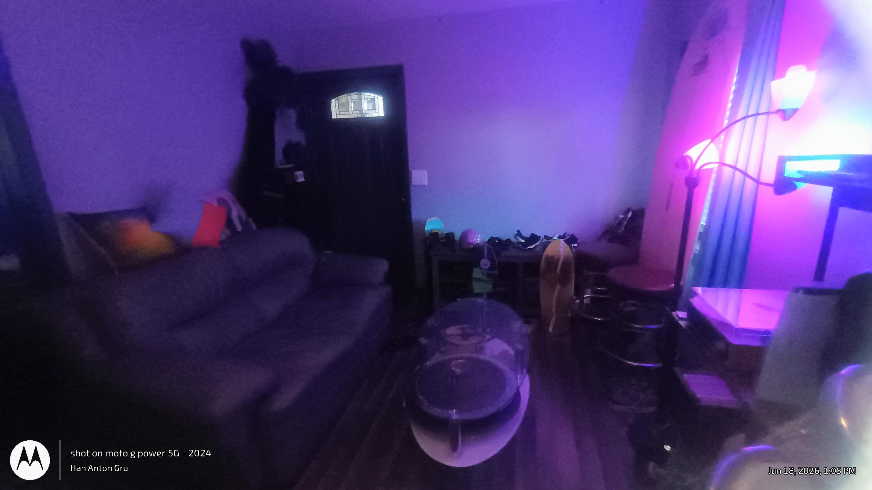 117 Roache Court