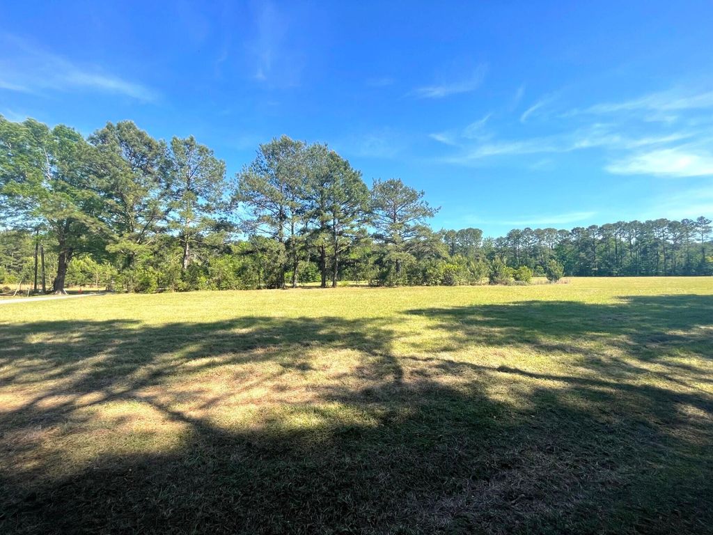 Photo of 7246 Jones Road, Awendaw, SC 29429 (MLS # 26010408)