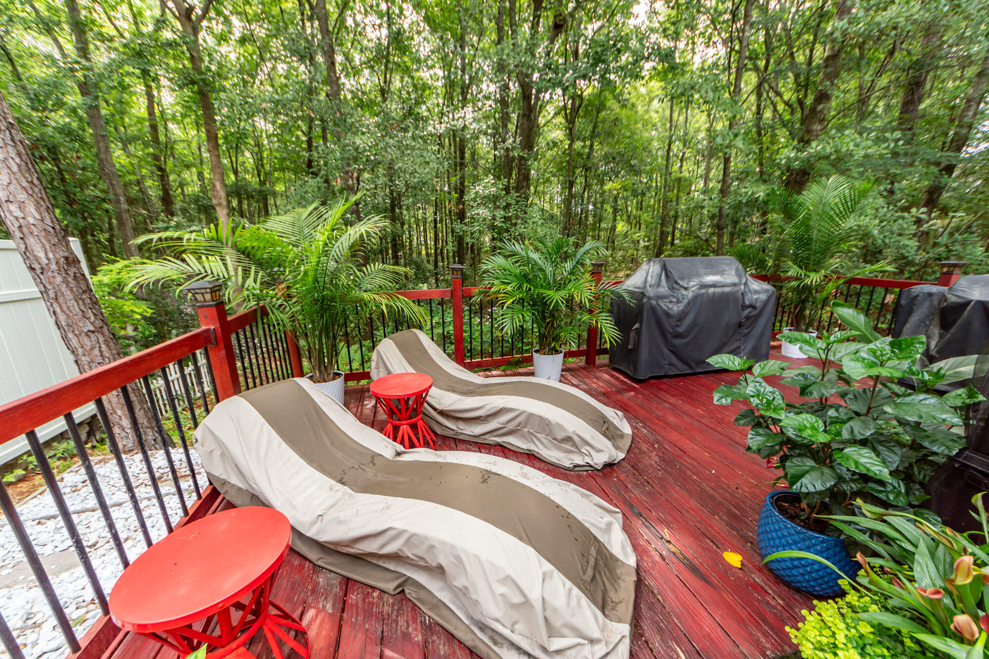 313 Grand Palm Lane