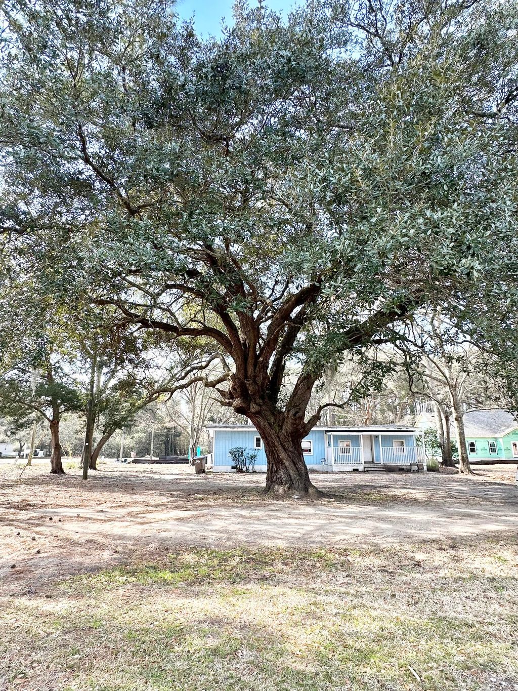 Photo of 1645 Cuffy Lane, Charleston, SC 29412 (MLS # 26005004)