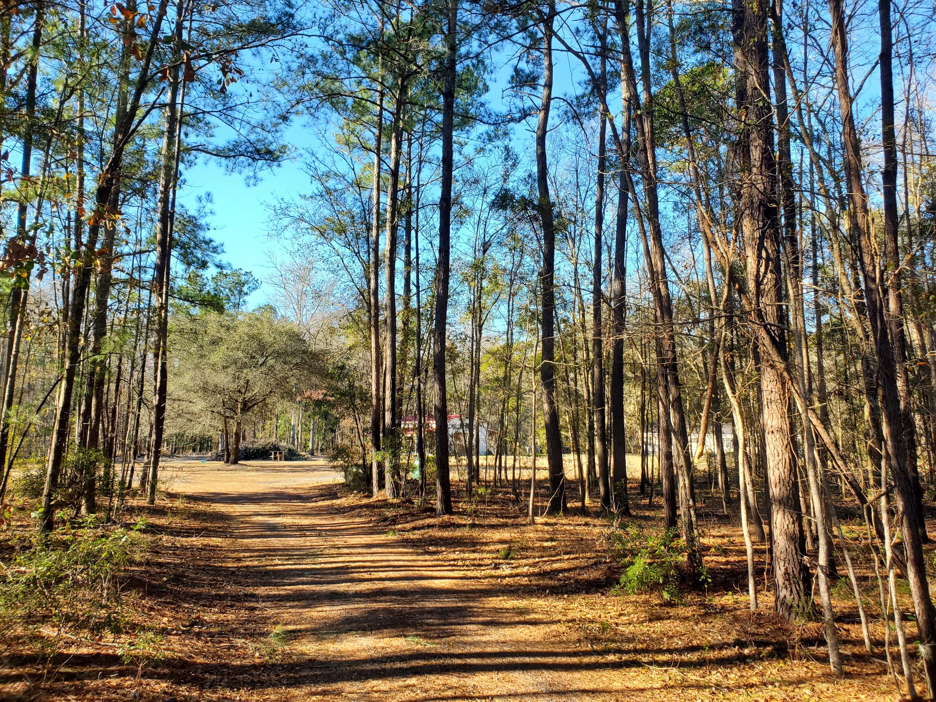 7085 Inman Road, Meggett, SC, 29449