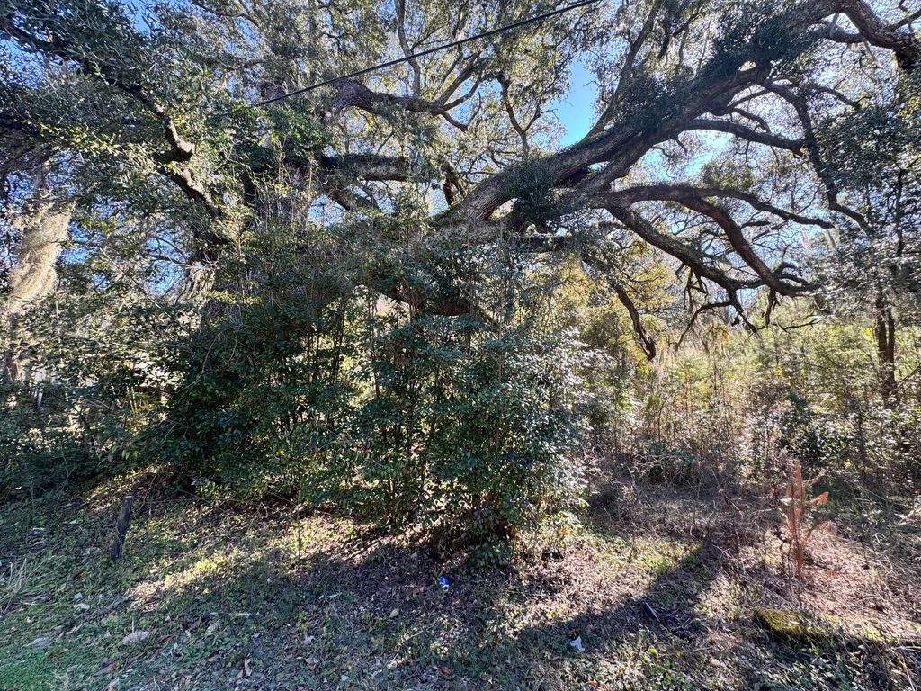 Photo of 183 Pidgeon Bay Road, Summerville, SC 29483 (MLS # 25024857)