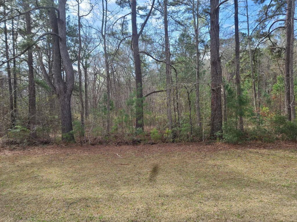 Photo of 5933 Dixie Plantation Road, Hollywood, SC 29449 (MLS # 26006699)