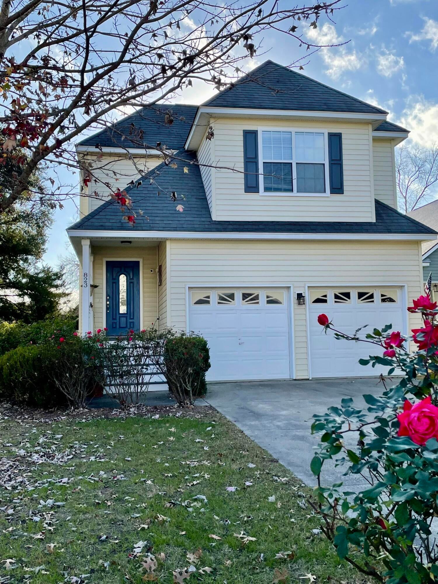 823 Harbor Place Drive, Charleston, SC, 29412