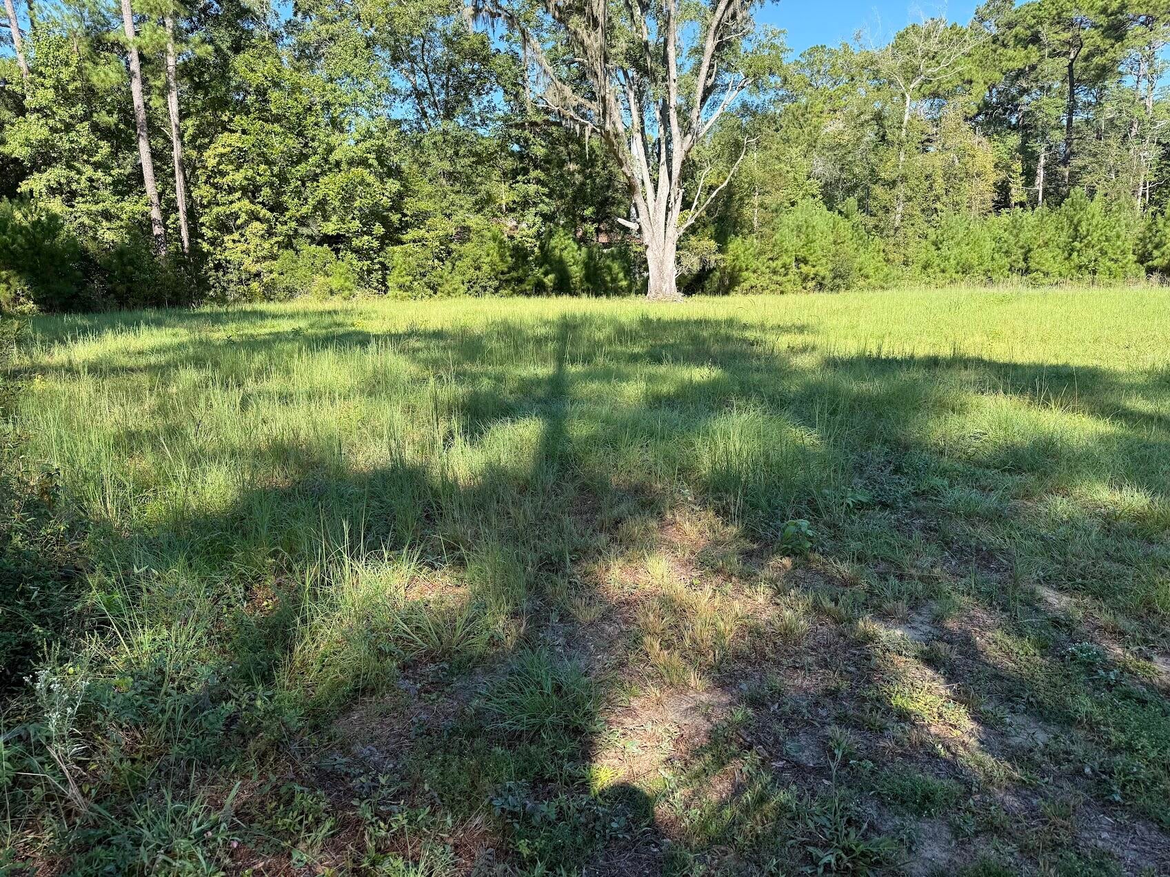 6142 Savannah Highway Lot 1a