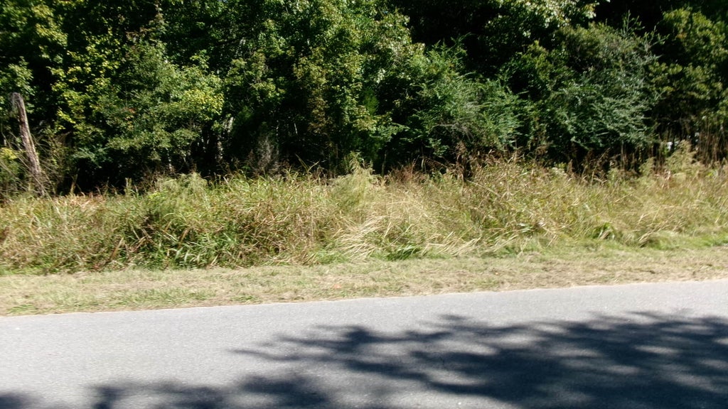 Photo of Lot 4 Manor Road, Hollywood, SC 29449 (MLS # 26028962)