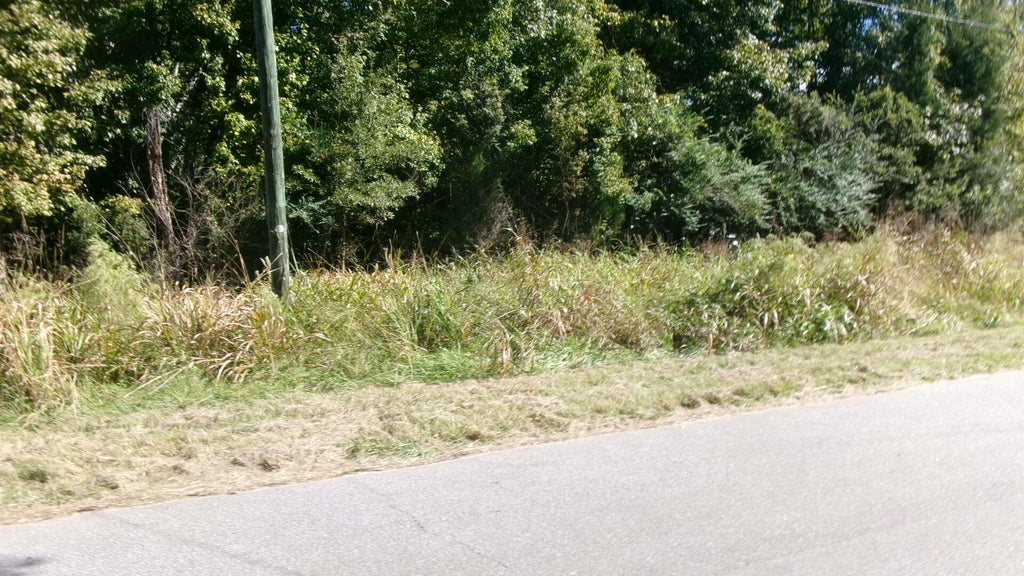 Photo of Lot 4 Manor Road, Hollywood, SC 29449 (MLS # 26028962)