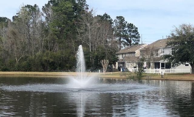 102 Pine Bluff Drive