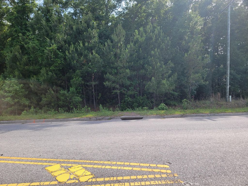 Photo of 0000 Hamlin Road, Mount Pleasant, SC 29466 (MLS # 25018647)