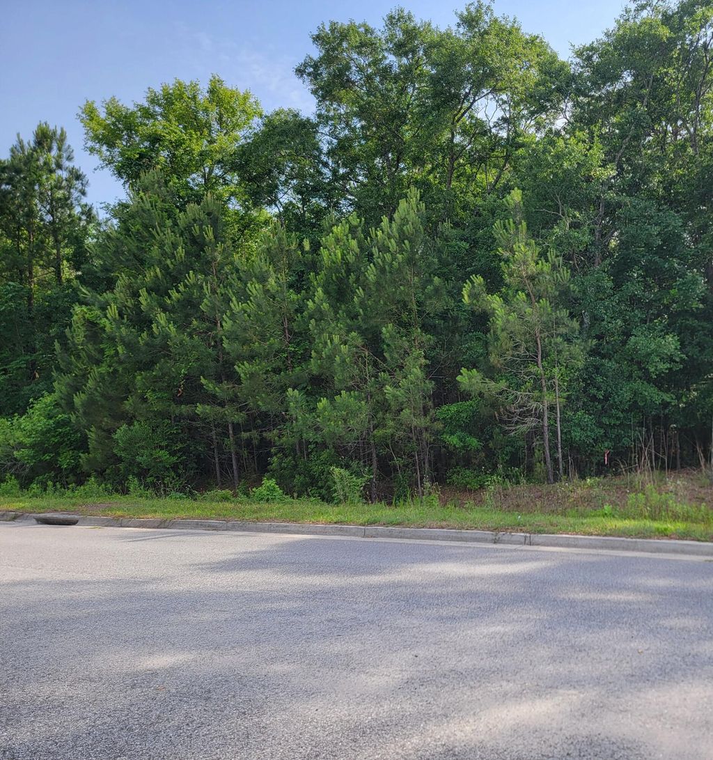 Photo of 0000 Hamlin Road, Mount Pleasant, SC 29466 (MLS # 25018647)