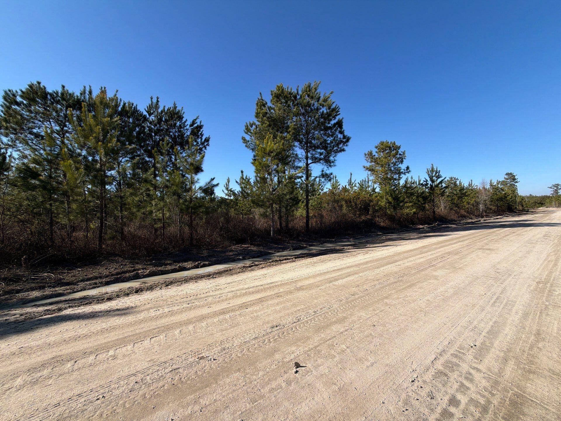 Bff Ii 7 Brunson Teal Rd Road