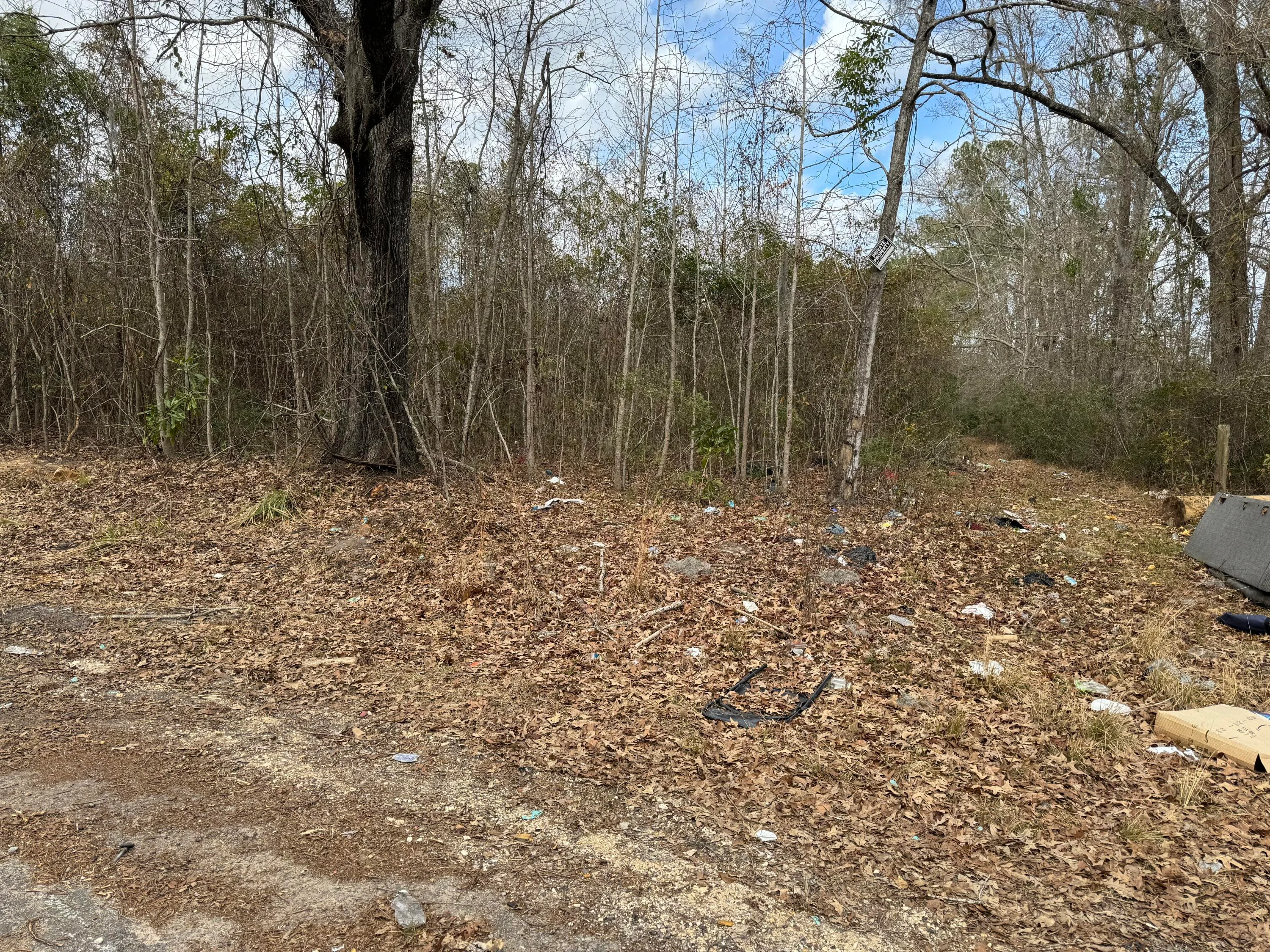 5510 Mauss Hill Road, Hollywood, SC, 29449