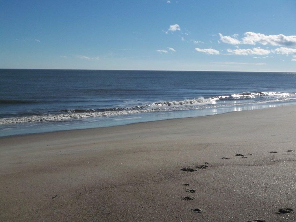 Photo of 1408 Jungle Road, Edisto Island, SC 29438 (MLS # 25029023)