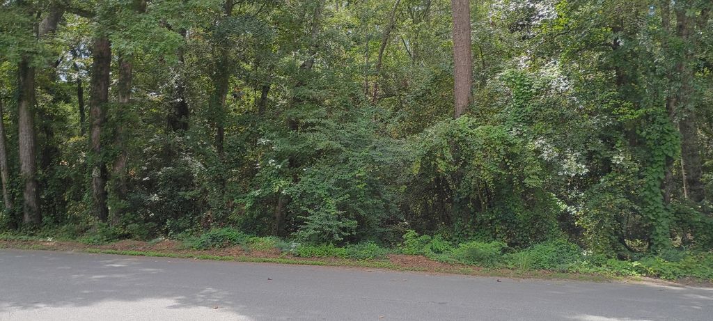 Photo of 0 Oak Drive, Summerville, SC 29485 (MLS # 25022600)