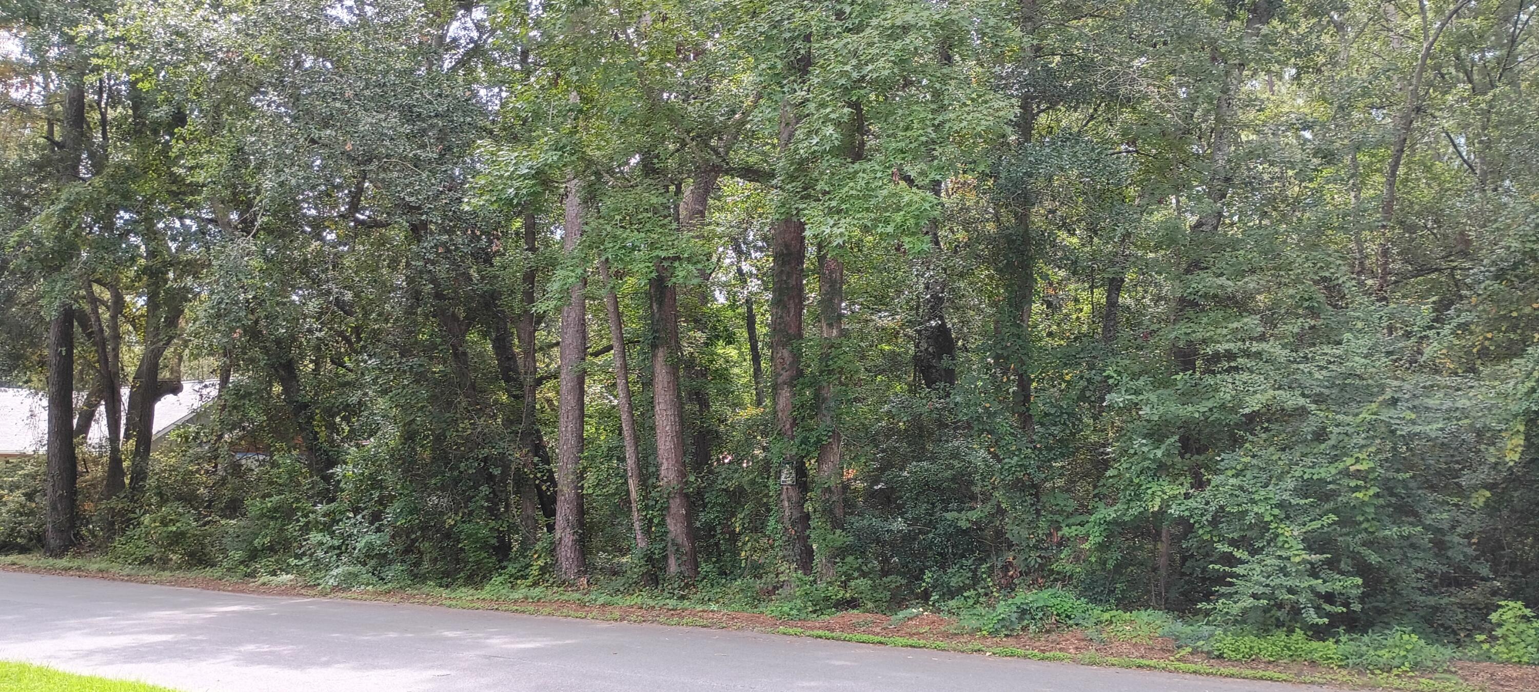 0 Oak Drive