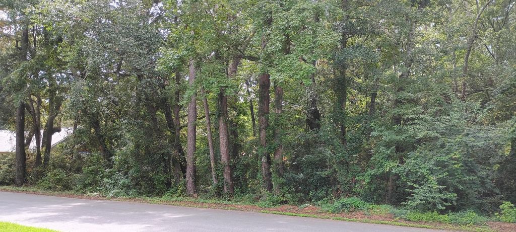 Photo of 0 Oak Drive, Summerville, SC 29485 (MLS # 25022600)