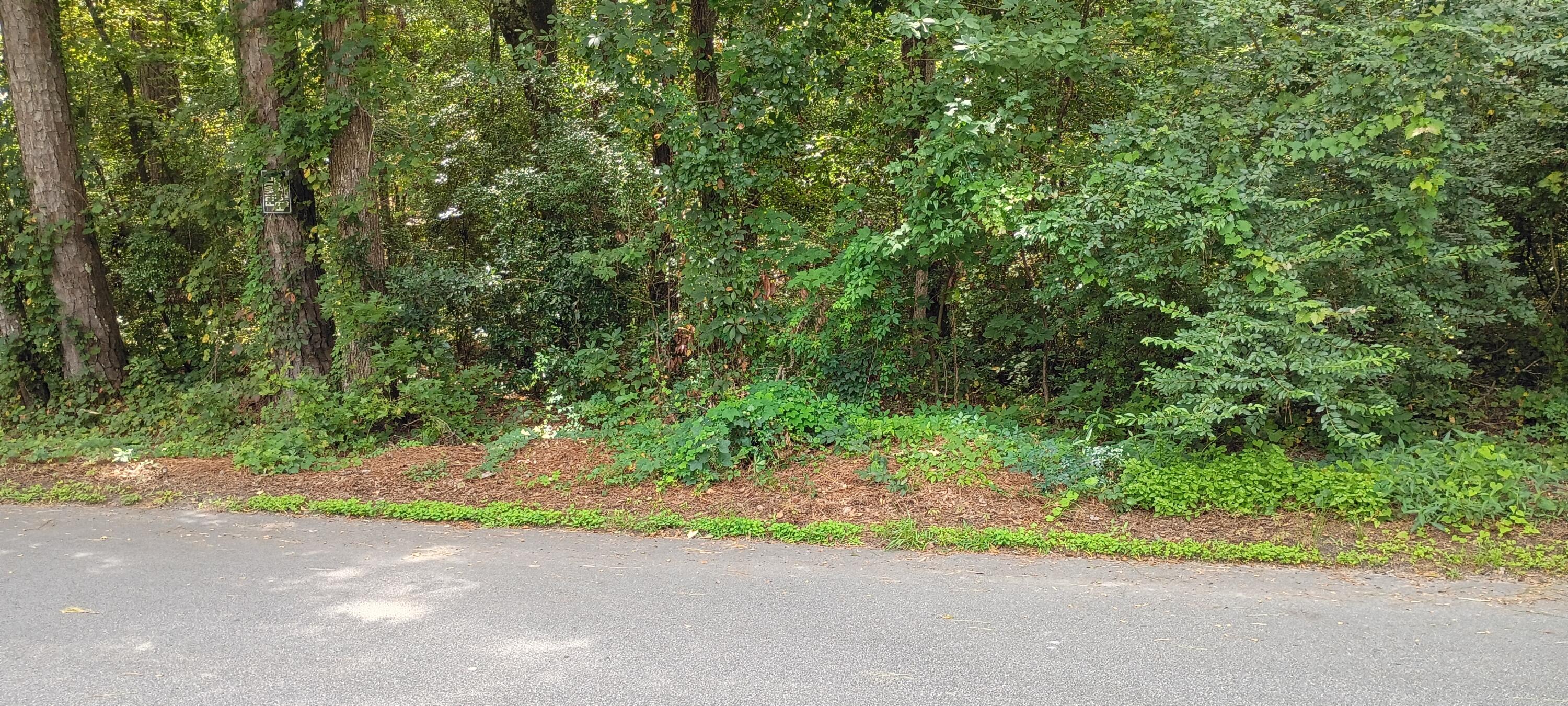0 Oak Drive