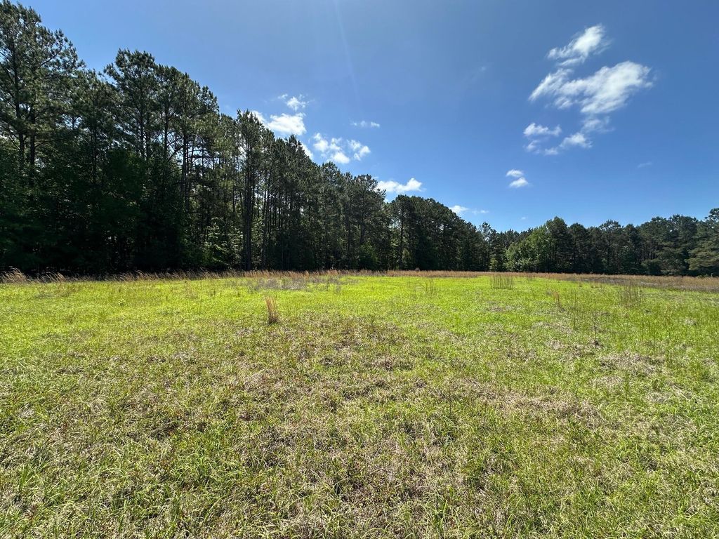 Photo of 8441 Willtown Road, Hollywood, SC 29449 (MLS # 25012047)