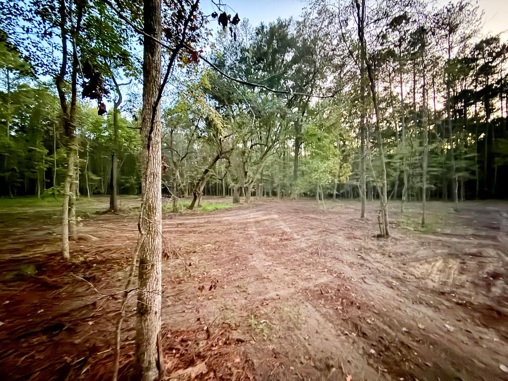 Photo of 191 Melrose Place, Moncks Corner, SC 29461 (MLS # 25027130)