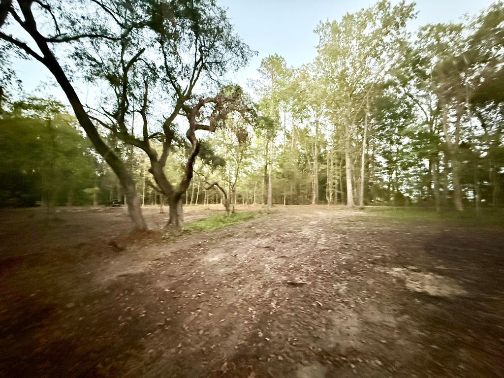 Photo of 191 Melrose Place, Moncks Corner, SC 29461 (MLS # 25027130)