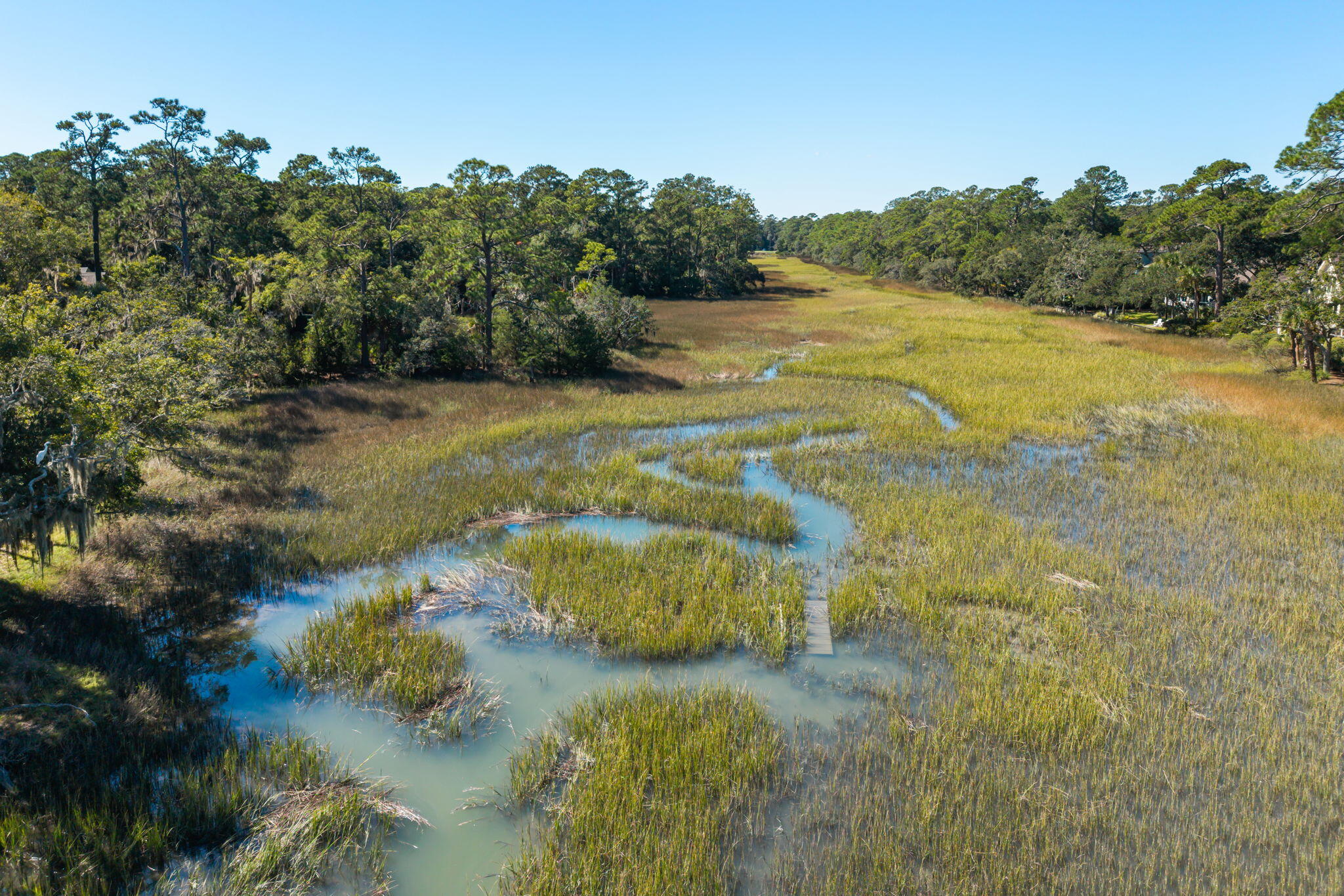 2349 Cat Tail Pond Road