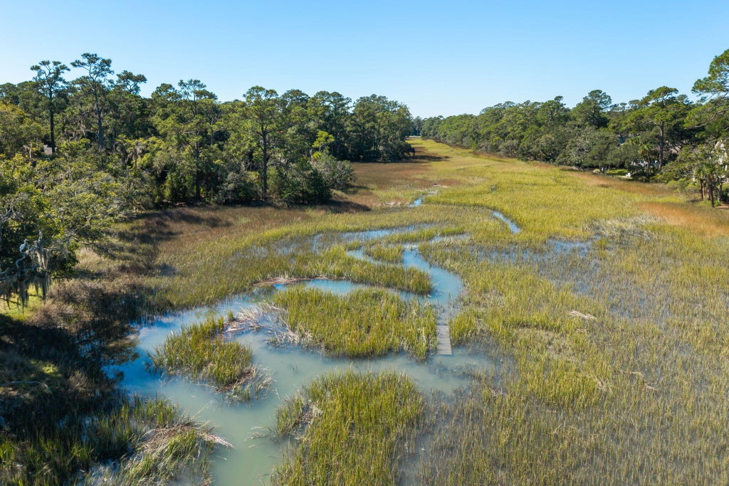 Photo of 2349 Cat Tail Pond Road, Seabrook Island, SC 29455 (MLS # 26028365)