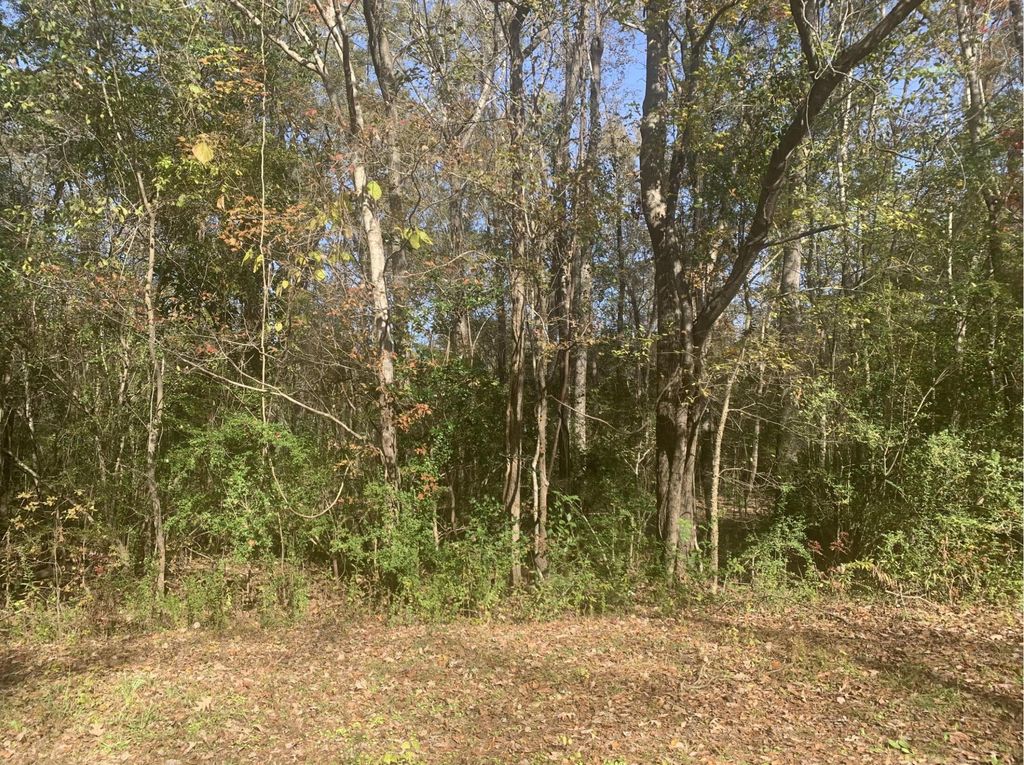 Photo of Lot 21 Mary Ellie Drive, Summerville, SC 29483 (MLS # 26003403)