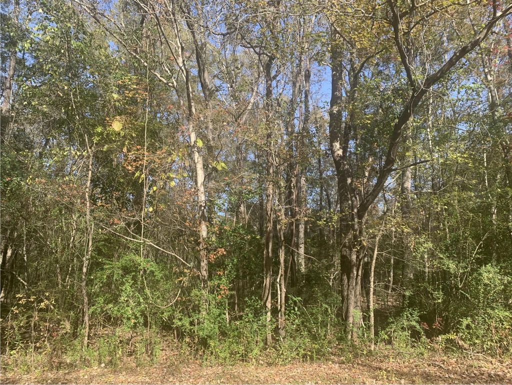 Photo of Lot 21 Mary Ellie Drive, Summerville, SC 29483 (MLS # 26003403)