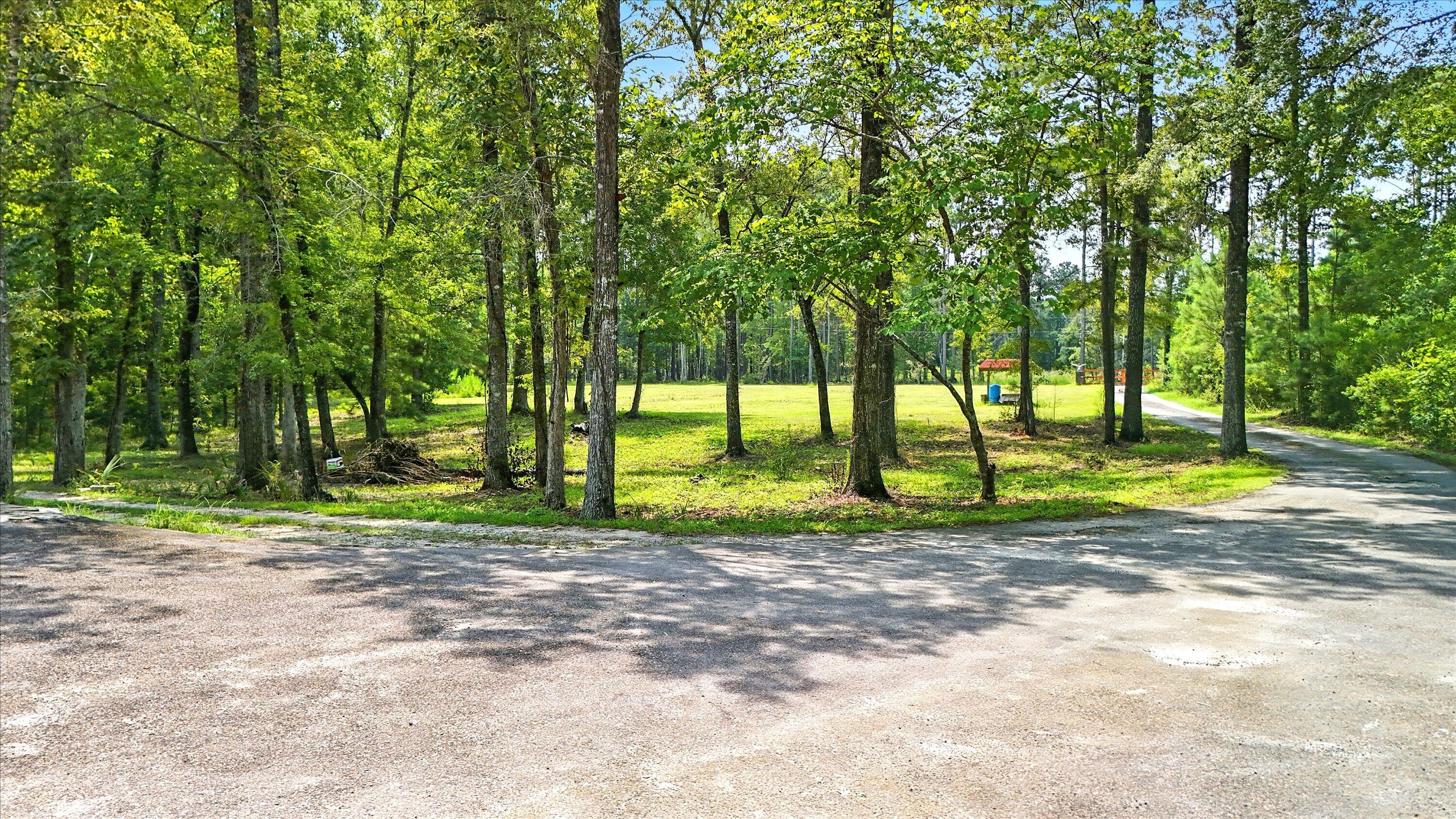 966 Hardwood Lane