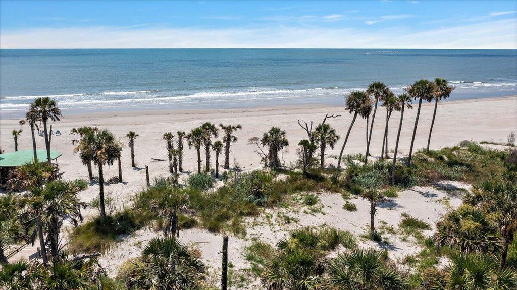 Photo of 311 Pelican Flight Drive, Dewees Island, SC 29451 (MLS # 25022219)