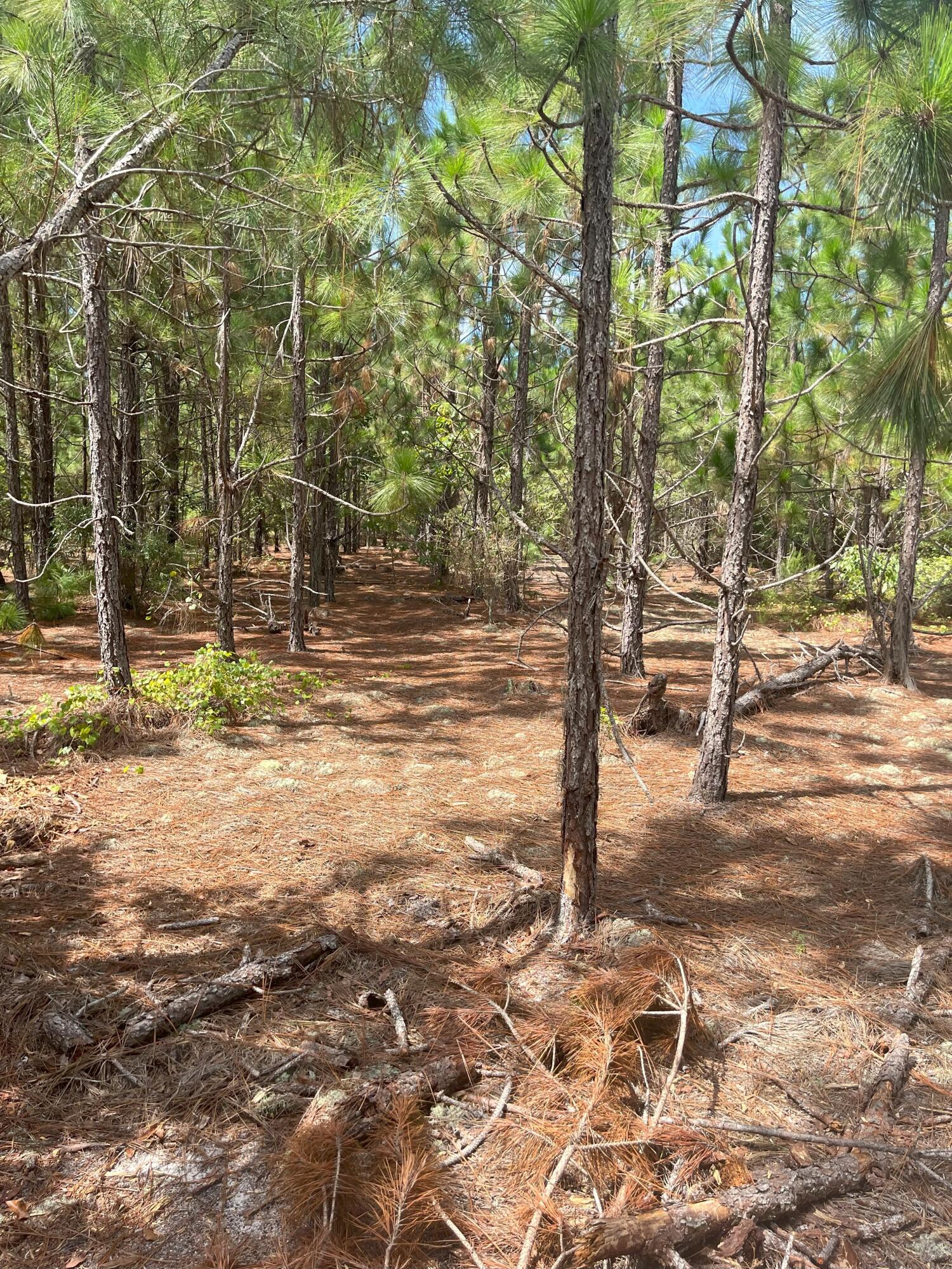 Ppf 8 Payne Pond Road Ppf 8