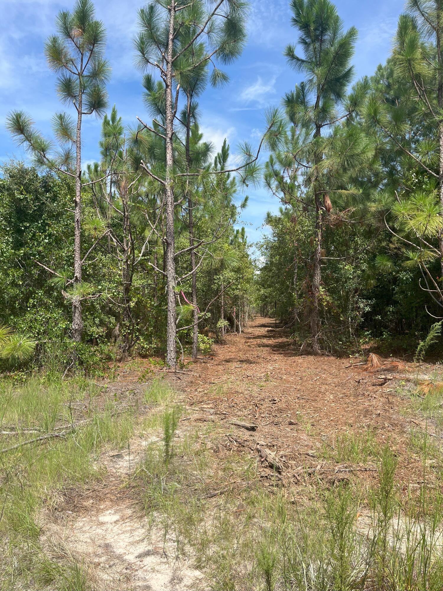 Ppf 8 Payne Pond Road Ppf 8