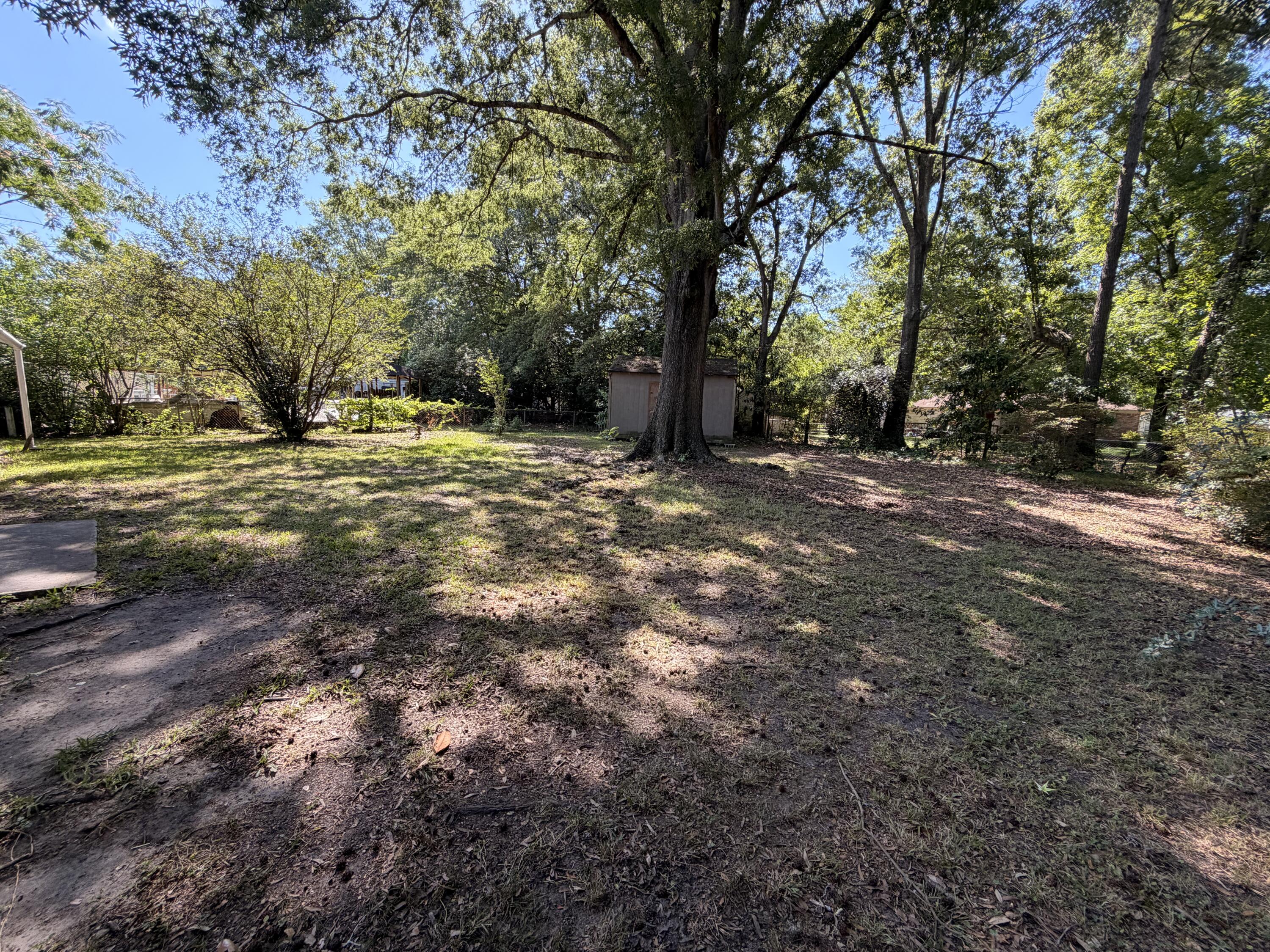 217 Birch Avenue