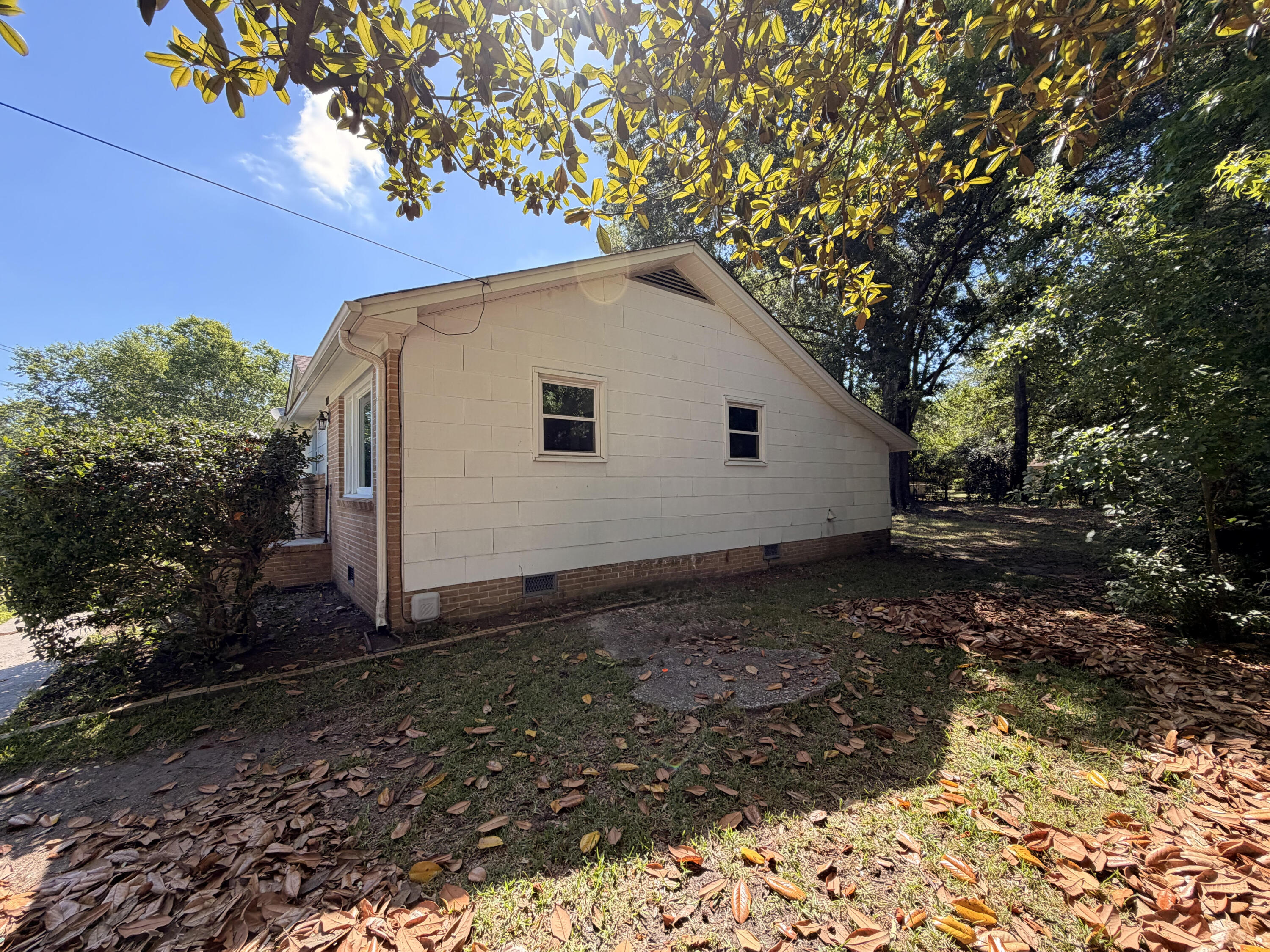 217 Birch Avenue