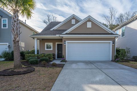 Photo of 3825 Tupelo Branch Row, Mount Pleasant, SC 29429 (MLS # 26005357)