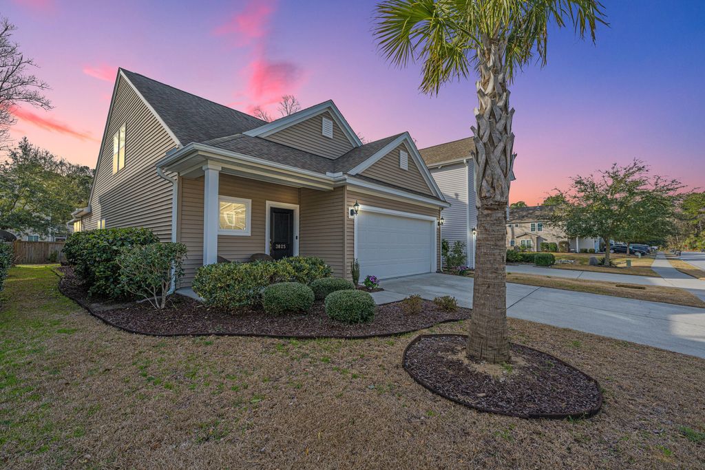 Photo of 3825 Tupelo Branch Row, Mount Pleasant, SC 29429 (MLS # 26005357)