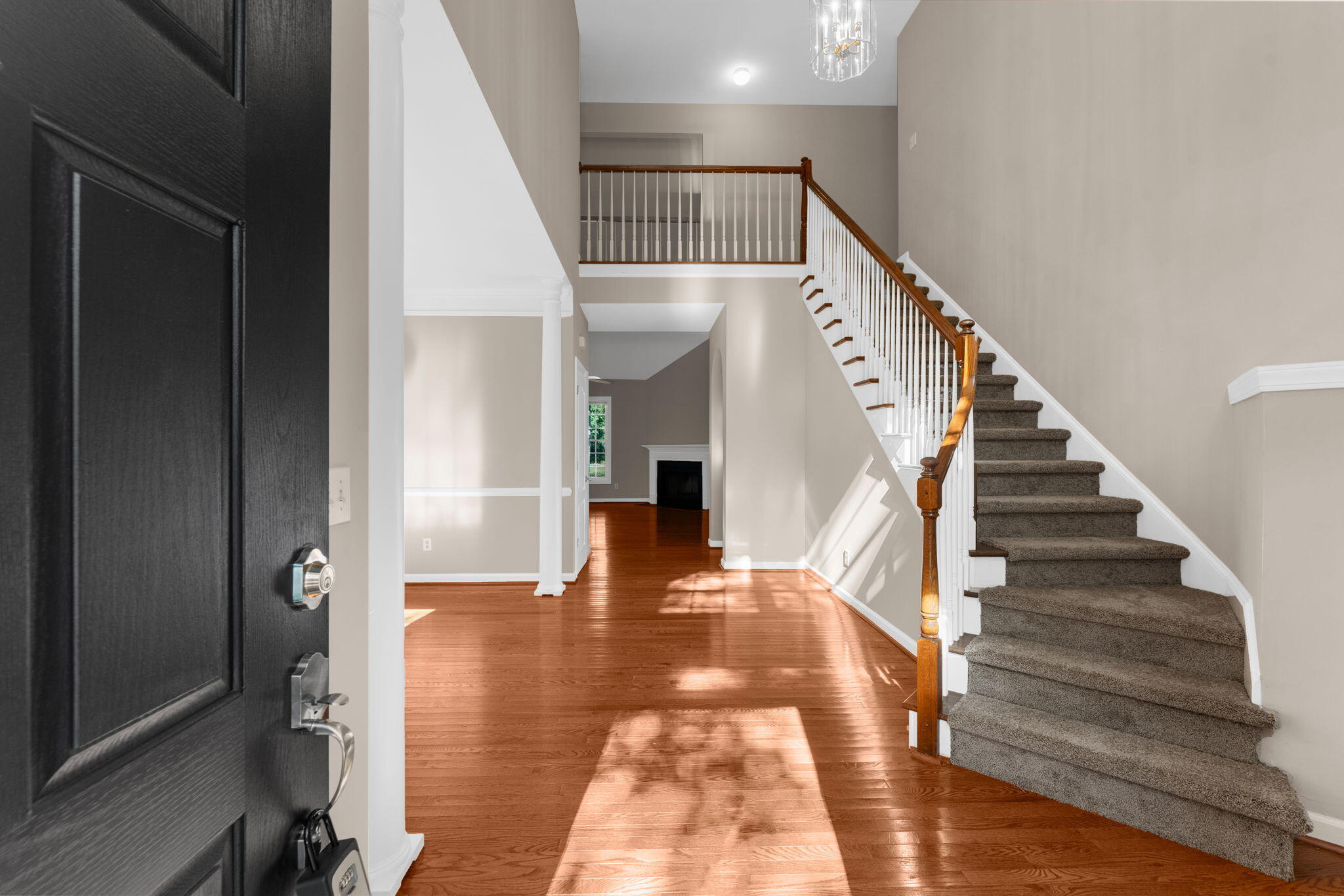 1259 Palmetto Peninsula Drive