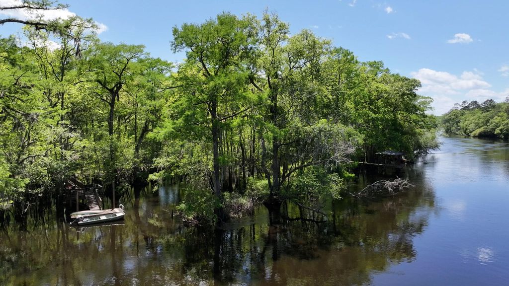 Photo of 7095 Parkers Ferry Road, Adams Run, SC 29426 (MLS # 25010492)
