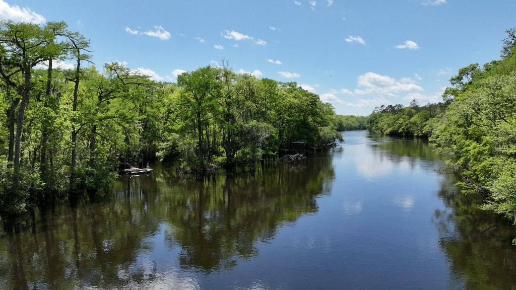 Photo of 7095 Parkers Ferry Road, Adams Run, SC 29426 (MLS # 25010492)